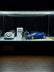 RimLabs Rotating Showroom Display